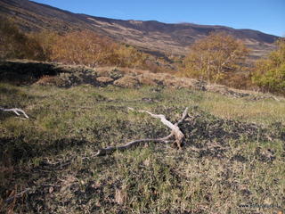 nte Zappinazzo-04-11-2012 10-55-42